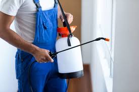 Professional Pest Control in Eastvale, CA